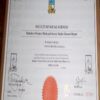 Buy Degree From the Midlands State University
