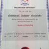 Buy Degree From the Mulungushi University