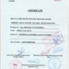 Buy college degree from the Neelain University
