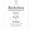 Buy college degree from The Wichita State University